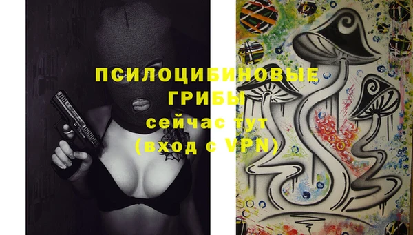 молекула духа Бугульма