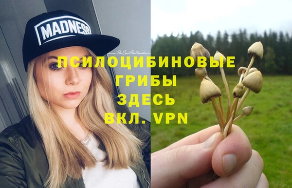 гашиш Бородино