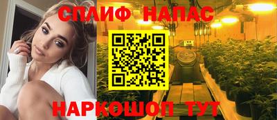 амф Славгород
