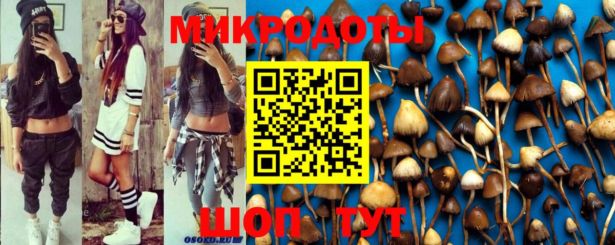 Рузаевка  Псилоцибиновые грибы Magic Shrooms  Вход с VPN  Галлюциногенные грибы мицелий 